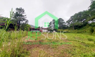 3-Hectare Lot Gem for sale in Baguio City – Now Available!