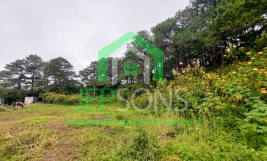 3-Hectare Lot Gem for sale in Baguio City – Now Available!