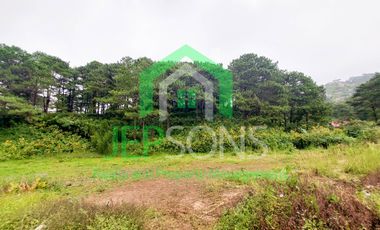 3-Hectare Lot Gem for sale in Baguio City – Now Available!
