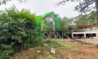 3-Hectare Lot Gem for sale in Baguio City – Now Available!