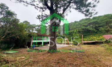 3-Hectare Lot Gem for sale in Baguio City – Now Available!