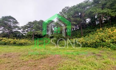 3-Hectare Lot Gem for sale in Baguio City – Now Available!