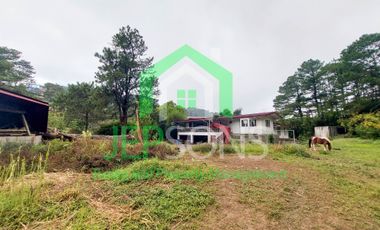 3-Hectare Lot Gem for sale in Baguio City – Now Available!