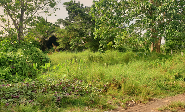 244 sqm Residential Lot for Sale in Rosario Heights, Bacolod, Negros Occidental