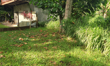 244 sqm Residential Lot for Sale in Rosario Heights, Bacolod, Negros Occidental
