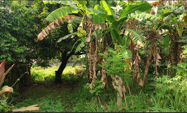 244 sqm Residential Lot for Sale in Rosario Heights, Bacolod, Negros Occidental