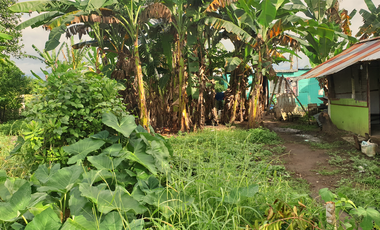 244 sqm Residential Lot for Sale in Rosario Heights, Bacolod, Negros Occidental