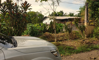 244 sqm Residential Lot for Sale in Rosario Heights, Bacolod, Negros Occidental