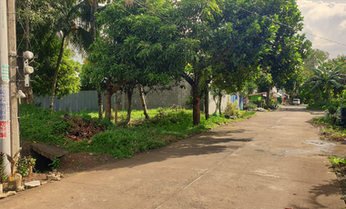 244 sqm Residential Lot for Sale in Rosario Heights, Bacolod, Negros Occidental