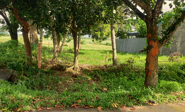 244 sqm Residential Lot for Sale in Rosario Heights, Bacolod, Negros Occidental