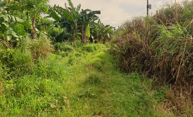 244 sqm Residential Lot for Sale in Rosario Heights, Bacolod, Negros Occidental