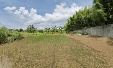 1.9 Hectares Commercial Lot for Sale in Bacolod City, Negros Occidental