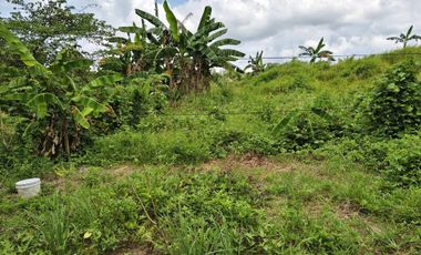 1.9 Hectares Commercial Lot for Sale in Bacolod City, Negros Occidental