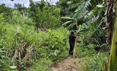 1.9 Hectares Commercial Lot for Sale in Bacolod City, Negros Occidental