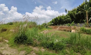 1.9 Hectares Commercial Lot for Sale in Bacolod City, Negros Occidental