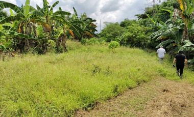 1.9 Hectares Commercial Lot for Sale in Bacolod City, Negros Occidental