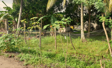 300 sqm Residential Lot for Sale in Rosario Heights, Bacolod, Negros Occidental