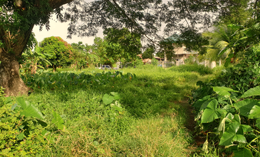 300 sqm Residential Lot for Sale in Rosario Heights, Bacolod, Negros Occidental