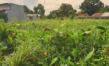 300 sqm Residential Lot for Sale in Rosario Heights, Bacolod, Negros Occidental