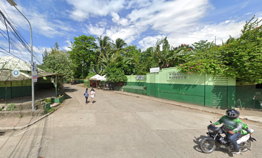 300 sqm Residential Lot for Sale in Rosario Heights, Bacolod, Negros Occidental