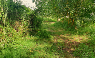 300 sqm Residential Lot for Sale in Rosario Heights, Bacolod, Negros Occidental