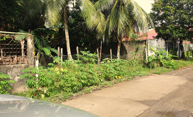 300 sqm Residential Lot for Sale in Rosario Heights, Bacolod, Negros Occidental