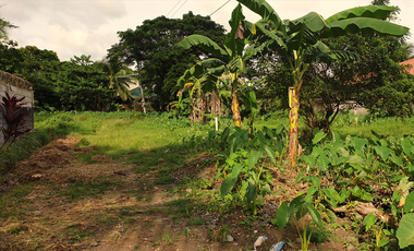 300 sqm Residential Lot for Sale in Rosario Heights, Bacolod, Negros Occidental
