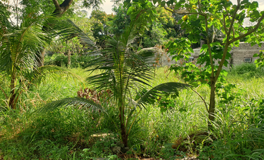300 sqm Residential Lot for Sale in Rosario Heights, Bacolod, Negros Occidental