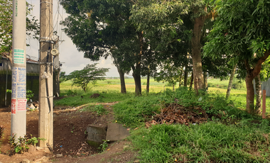300 sqm Residential Lot for Sale in Rosario Heights, Bacolod, Negros Occidental