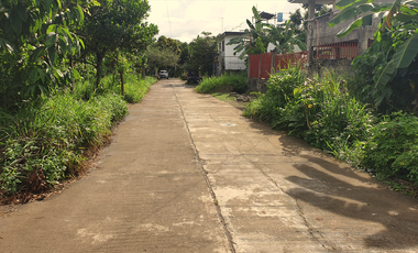 300 sqm Residential Lot for Sale in Rosario Heights, Bacolod, Negros Occidental