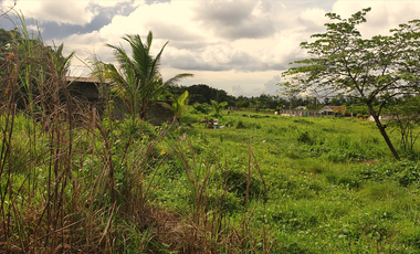 300 sqm Residential Lot for Sale in Rosario Heights, Bacolod, Negros Occidental