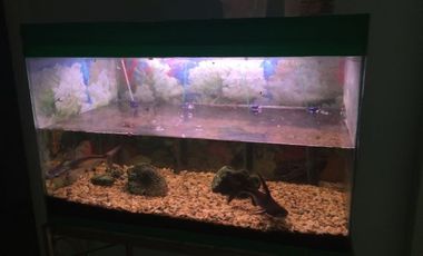 For Rent Top Floor Penthouse Unit with Beautiful View at The Kingswood, Makati