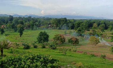 Brgy. Tagburos Puerto Princesa, Palawan Overlooking Lot for Sale