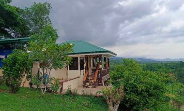 Brgy. Tagburos Puerto Princesa, Palawan Overlooking Lot for Sale