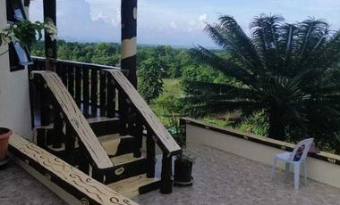 Brgy. Tagburos Puerto Princesa, Palawan Overlooking Lot for Sale