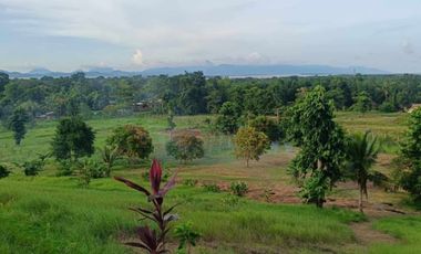 Brgy. Tagburos Puerto Princesa, Palawan Overlooking Lot for Sale