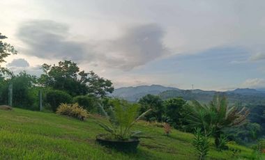 Brgy. Tagburos Puerto Princesa, Palawan Overlooking Lot for Sale
