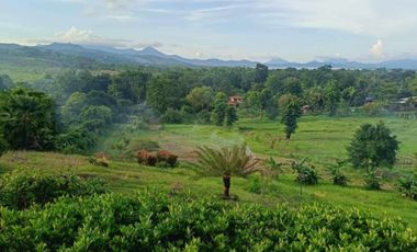 Brgy. Tagburos Puerto Princesa, Palawan Overlooking Lot for Sale