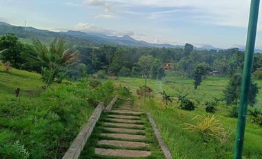 Brgy. Tagburos Puerto Princesa, Palawan Overlooking Lot for Sale