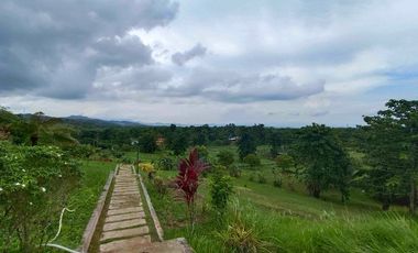 Brgy. Tagburos Puerto Princesa, Palawan Overlooking Lot for Sale