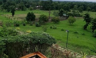 Brgy. Tagburos Puerto Princesa, Palawan Overlooking Lot for Sale