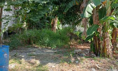 Residential Lot for Sale in Annex 31, Better Living Parañaque City