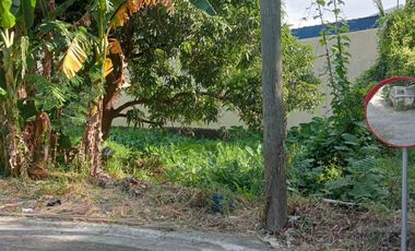 Residential Lot for Sale in Annex 31, Better Living Parañaque City