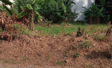 Residential Lot for Sale in Annex 31, Better Living Parañaque City