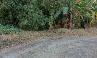 Residential Lot for Sale in Annex 31, Better Living Parañaque City