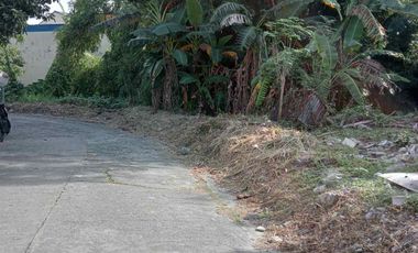 Residential Lot for Sale in Annex 31, Better Living Parañaque City