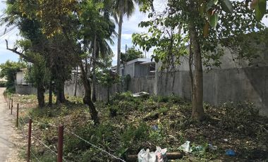 FS Commercial Lot Tagbilaran Bohol