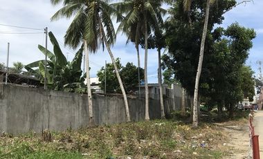FS Commercial Lot Tagbilaran Bohol