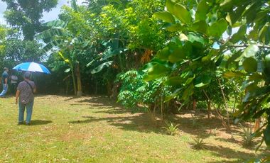 Hacienda San Benito Farm Lot For Sale