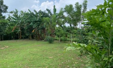 Hacienda San Benito Farm Lot For Sale